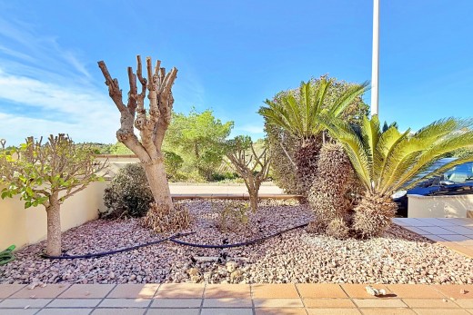 Reventa - Adosado - Orihuela - Orihuela Costa