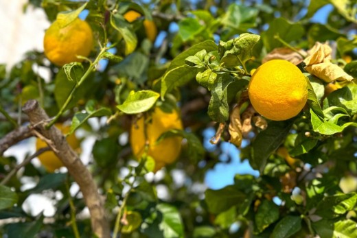 Återförsäljning - Detached Villa - Orihuela Costa - Villamartín