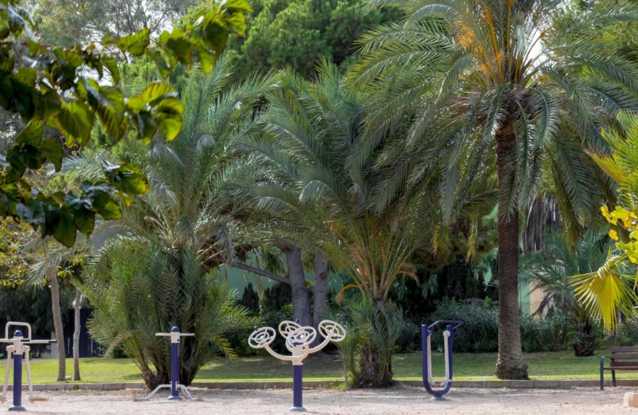 Återförsäljning -  - Orihuela Costa - La Zenia