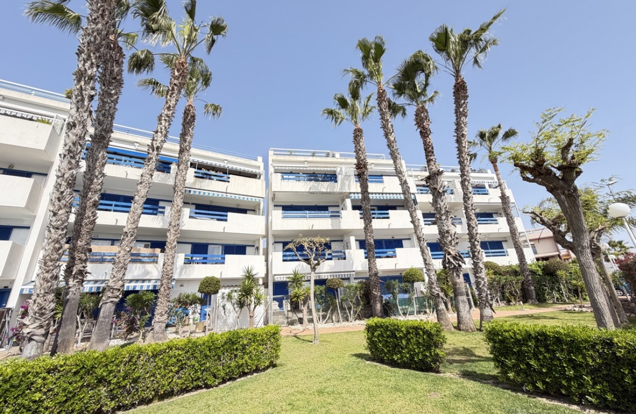 Reventa - Apartamento - Playa Flamenca