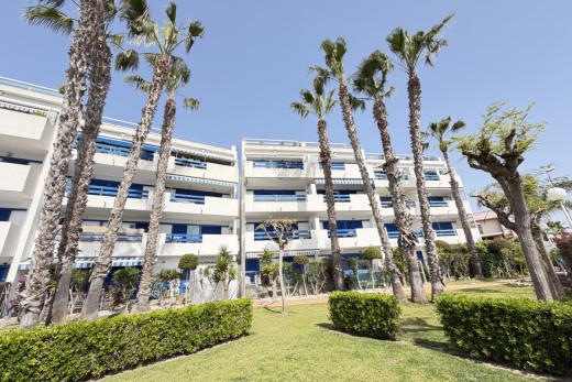 Reventa - Apartamento - Playa Flamenca