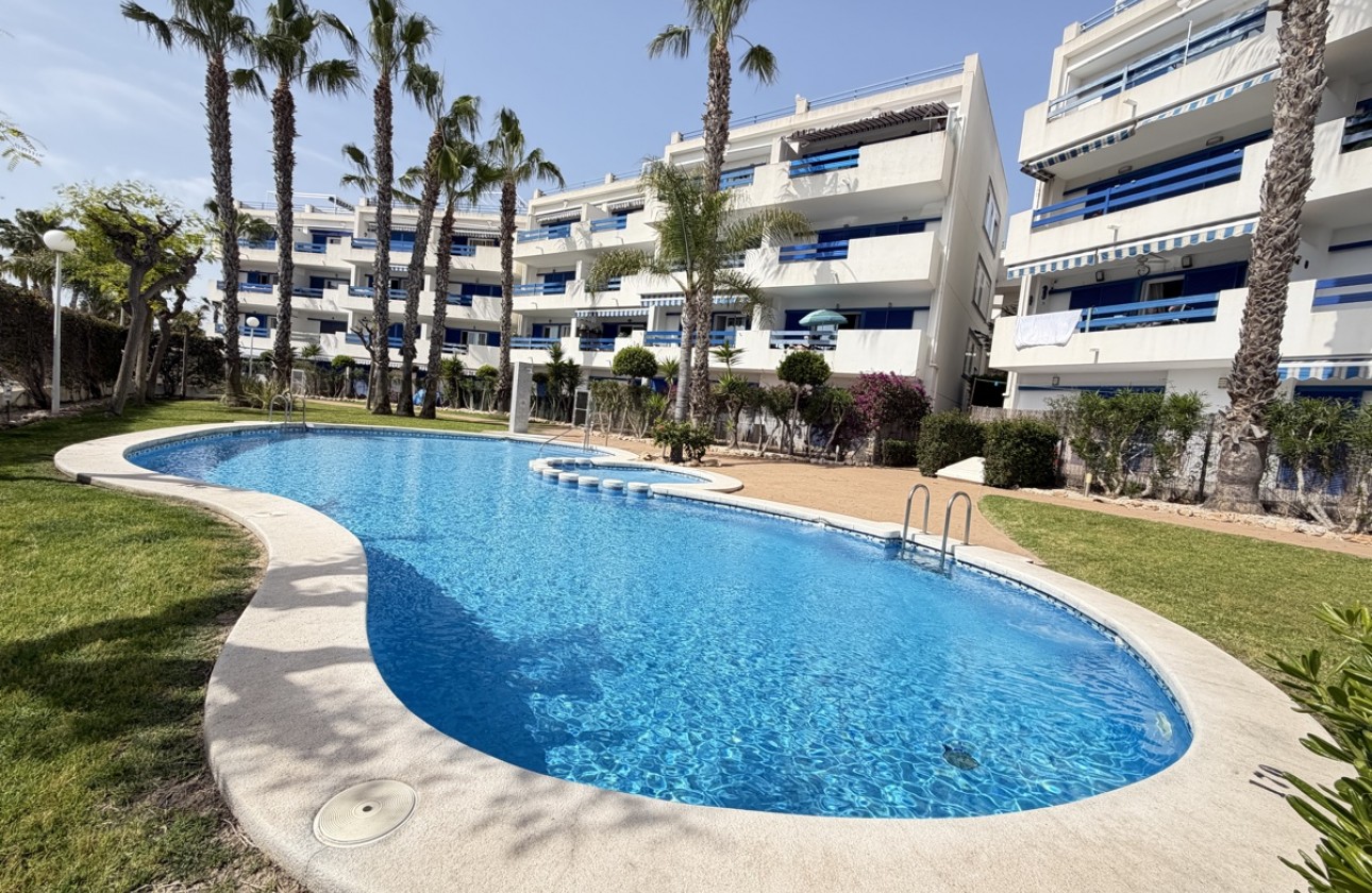 Reventa - Apartamento - Playa Flamenca