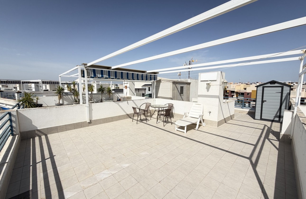 Reventa - Apartamento - Playa Flamenca