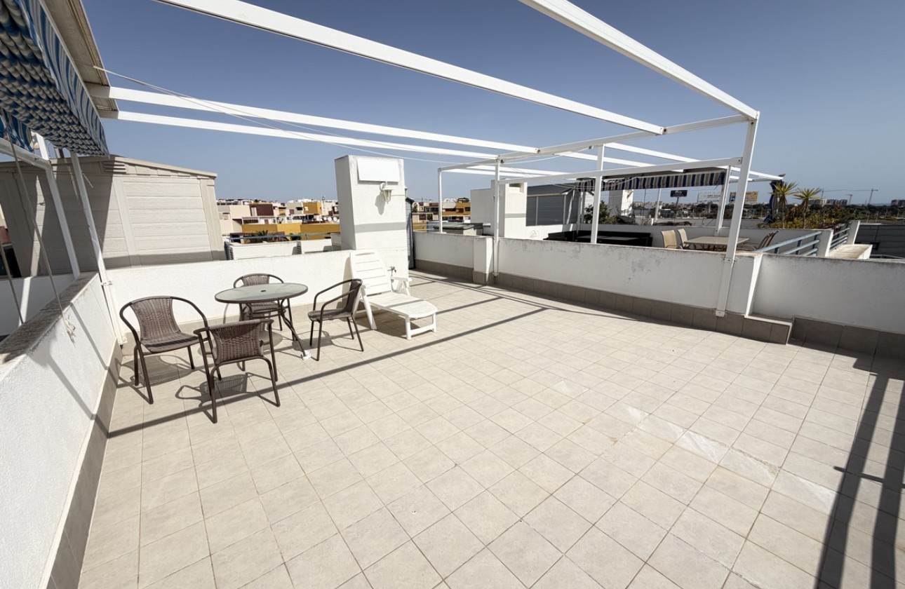Reventa - Apartamento - Playa Flamenca