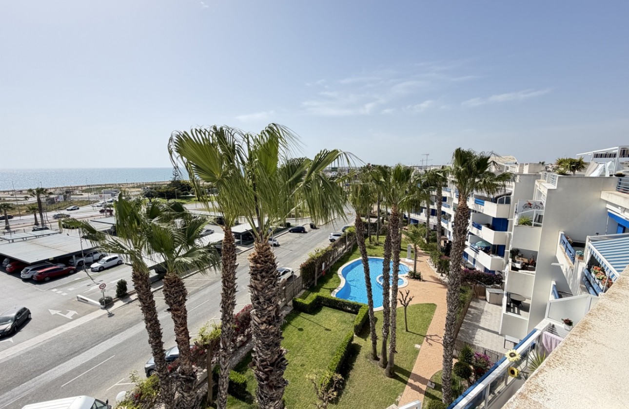 Reventa - Apartamento - Playa Flamenca