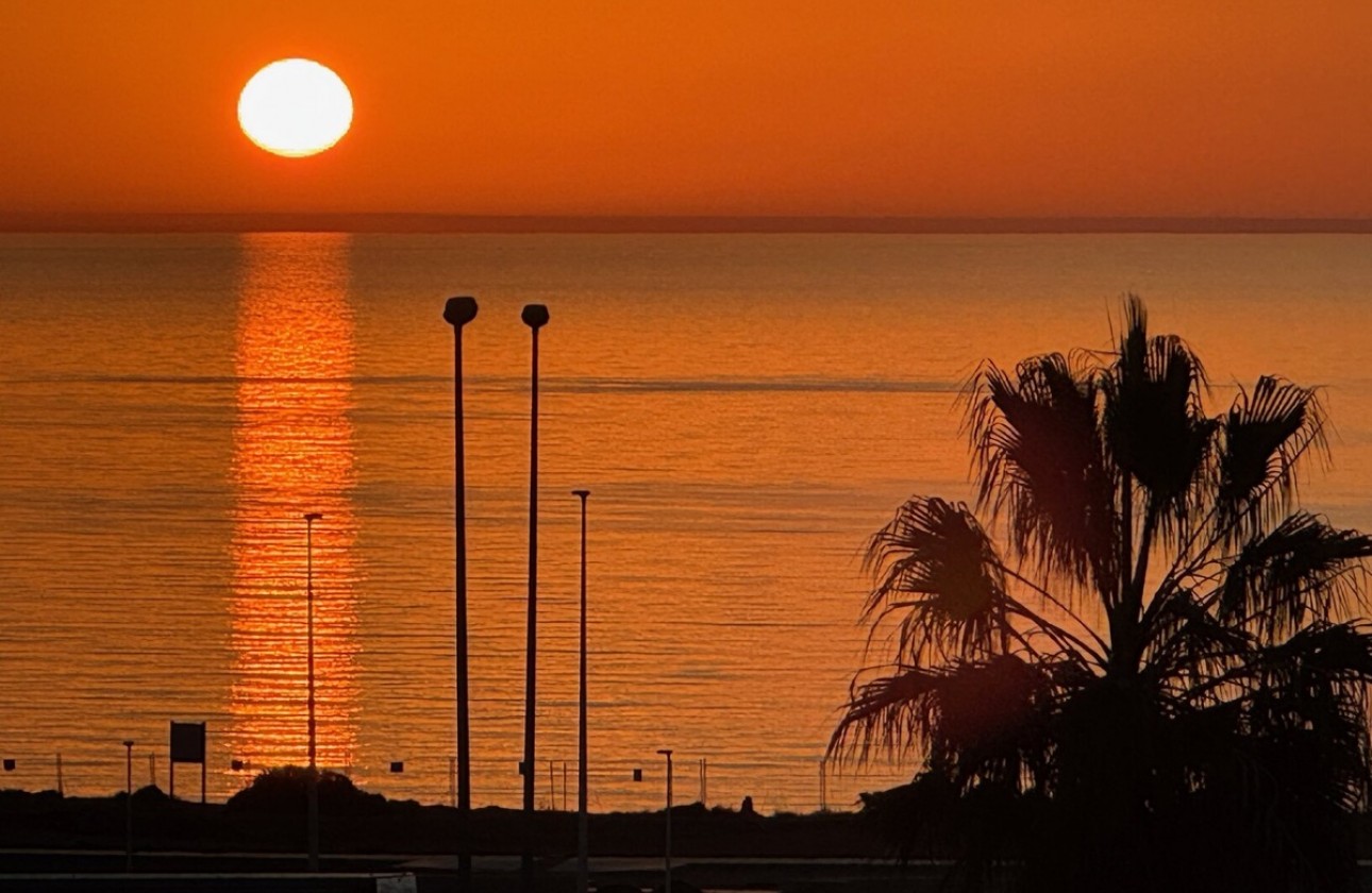 Reventa - Apartamento - Playa Flamenca