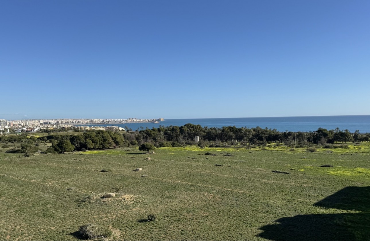 Reventa - Apartamento - Punta Prima