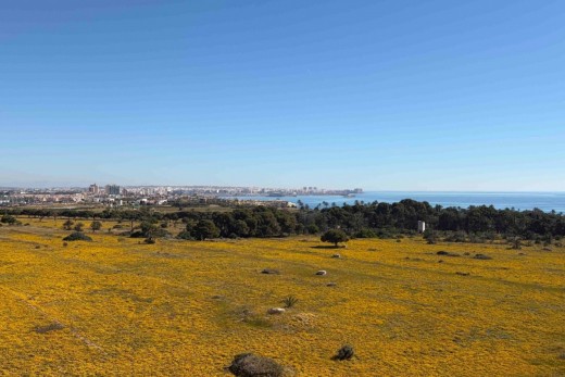 Resale - Apartment - Orihuela Costa - Punta Prima