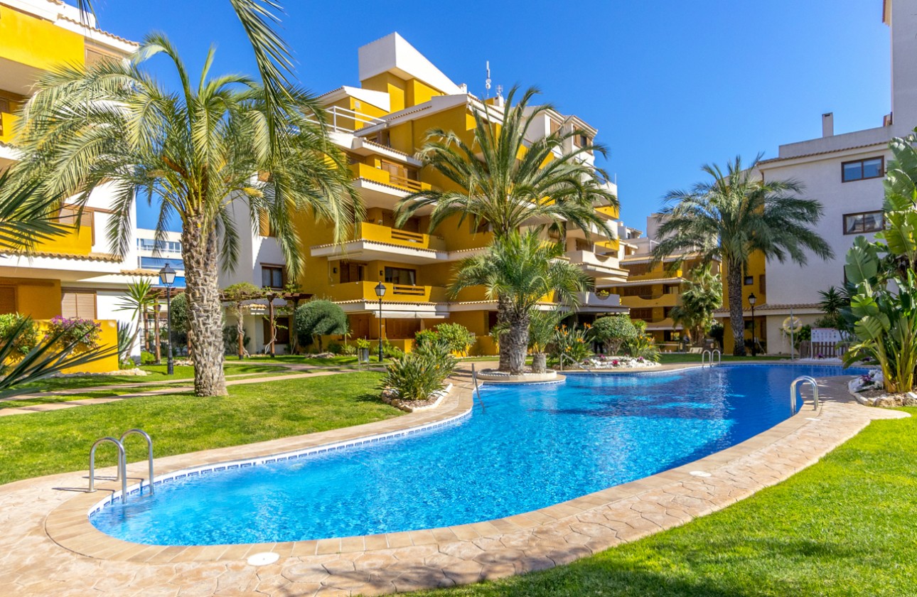 Reventa - Apartamento - Torrevieja - Punta prima