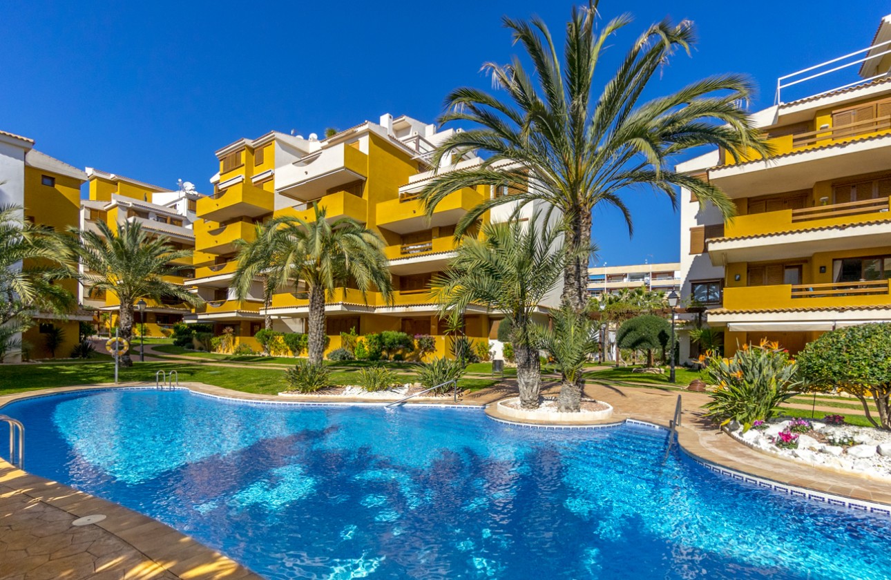 Reventa - Apartamento - Torrevieja - Punta prima
