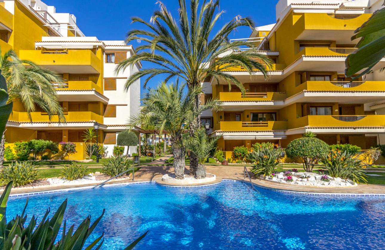 Reventa - Apartamento - Torrevieja - Punta prima