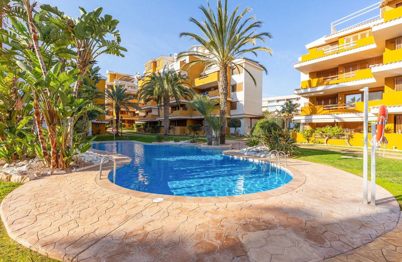 Reventa - Apartamento - Torrevieja - Punta prima