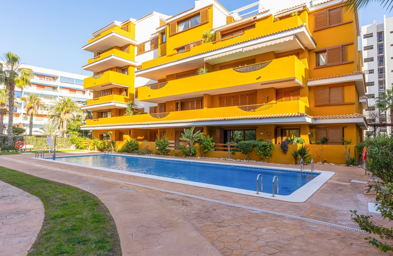 Reventa - Apartamento - Torrevieja - Punta prima