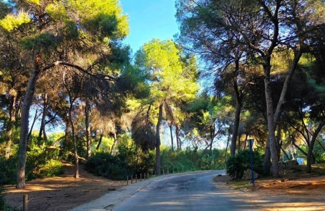 Reventa - Chalet - Dehesa de campoamor - Campoamor