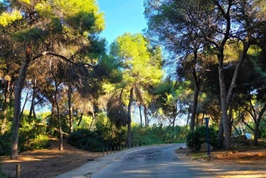 Reventa - Chalet - Dehesa de campoamor - Campoamor