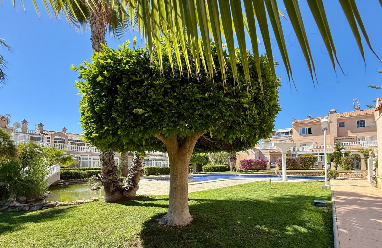 Återförsäljning -  - Orihuela Costa - Playa Flamenca