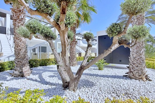 Återförsäljning -  - Orihuela Costa - Punta Prima
