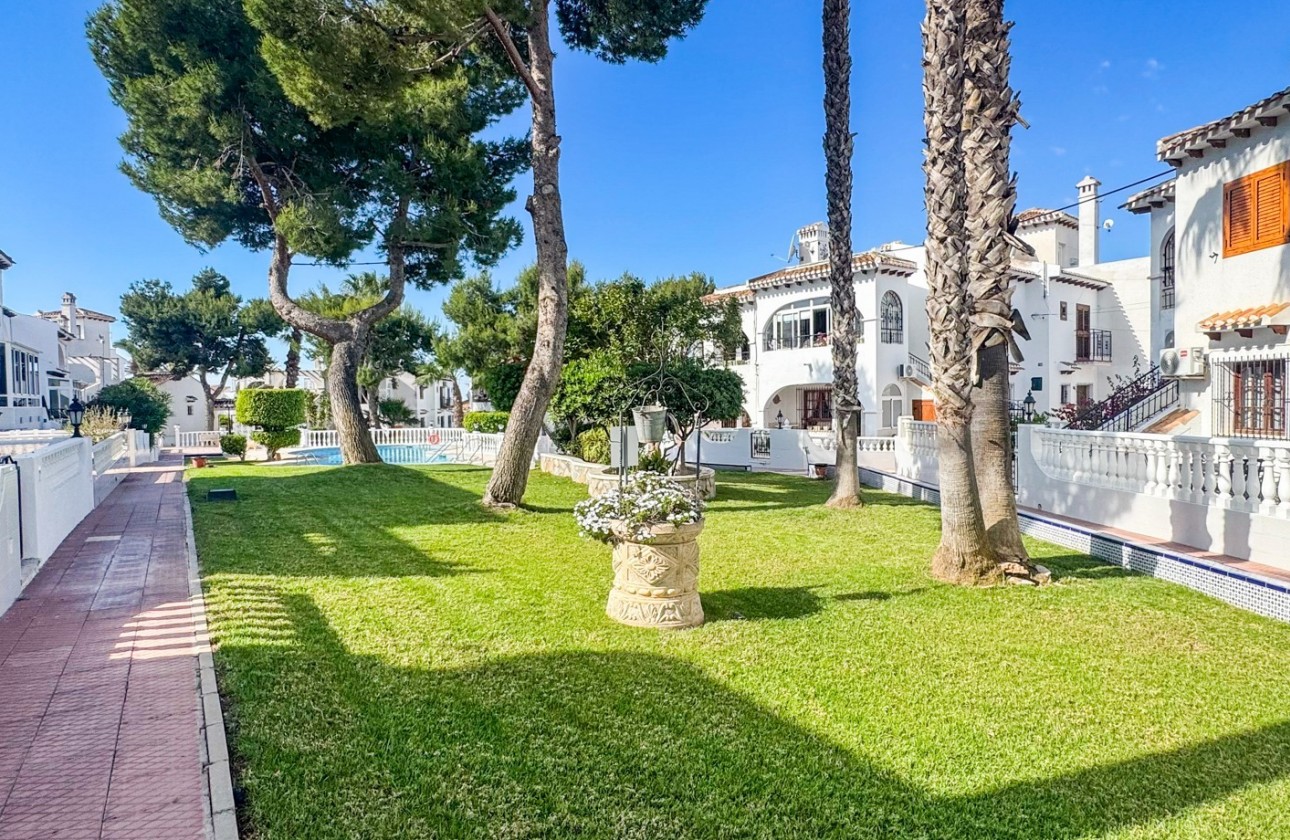 Återförsäljning -  - Torrevieja - Nueva Torrevieja - Aguas Nuevas