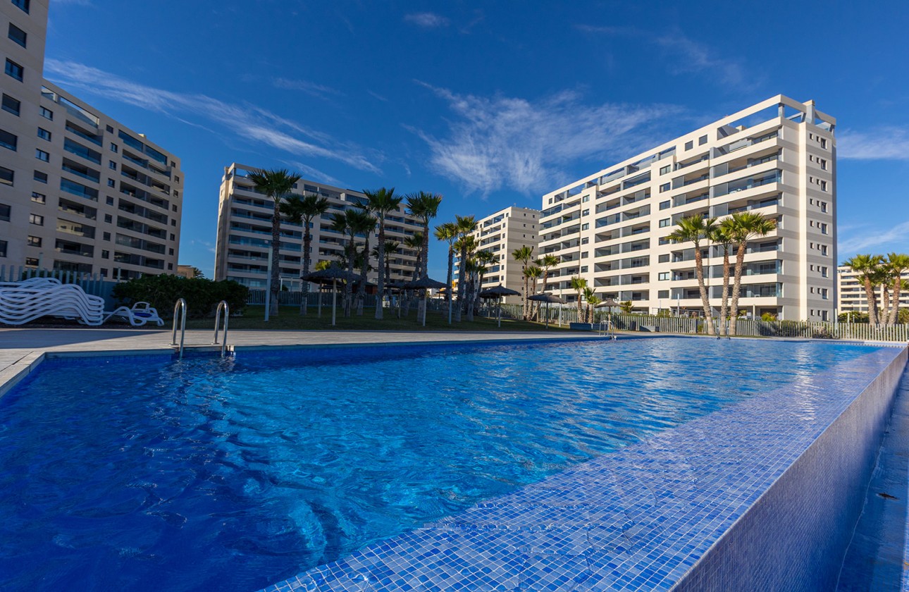 Återförsäljning -  - Torrevieja - Punta prima