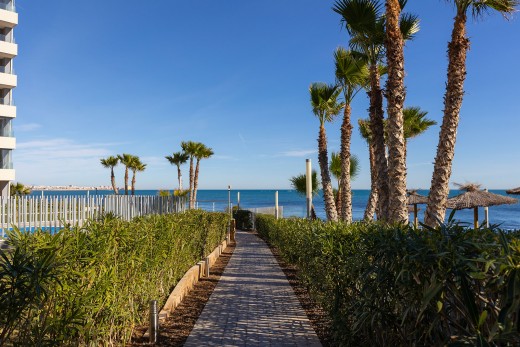 Återförsäljning -  - Torrevieja - Punta prima