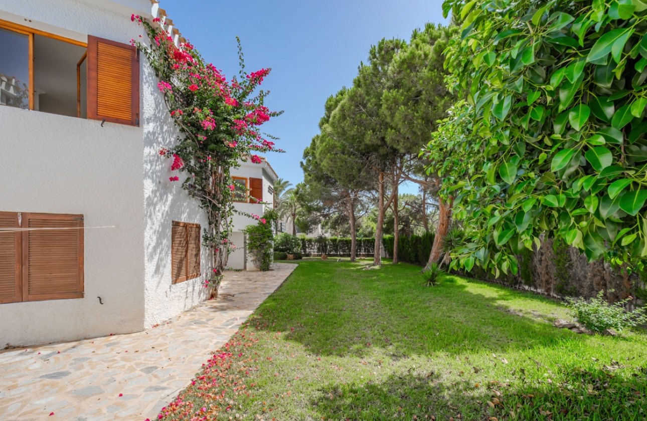 Återförsäljning -  - Cabo Roig