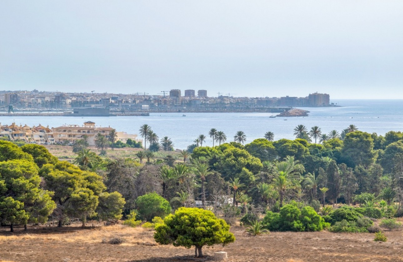 Resale - Apartment - Orihuela Costa - Punta Prima