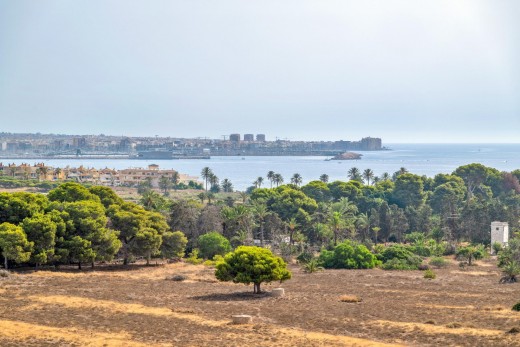 Resale - Apartment - Torrevieja - Punta prima