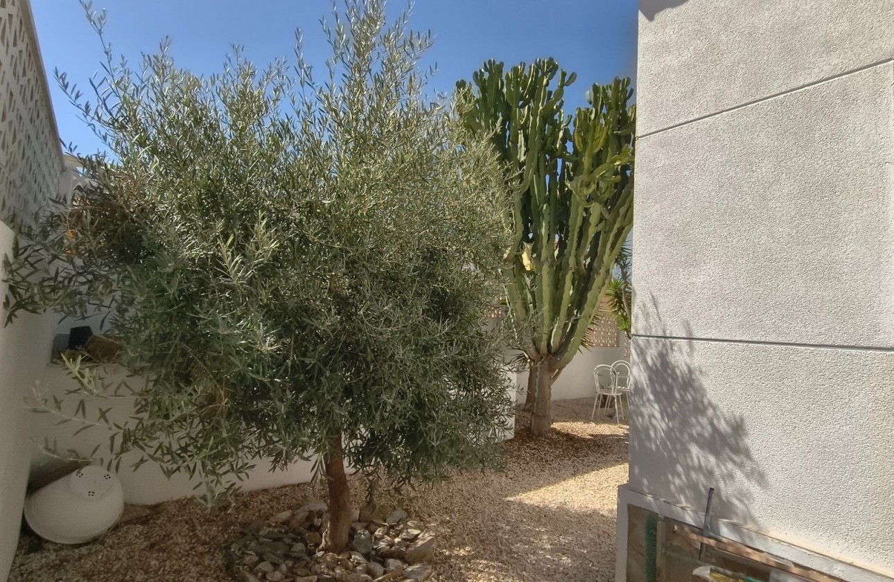 Återförsäljning - Detached house - San Miguel De Salinas - Blue Lagoon