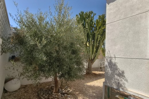 Återförsäljning - Detached house - San Miguel De Salinas - Blue Lagoon