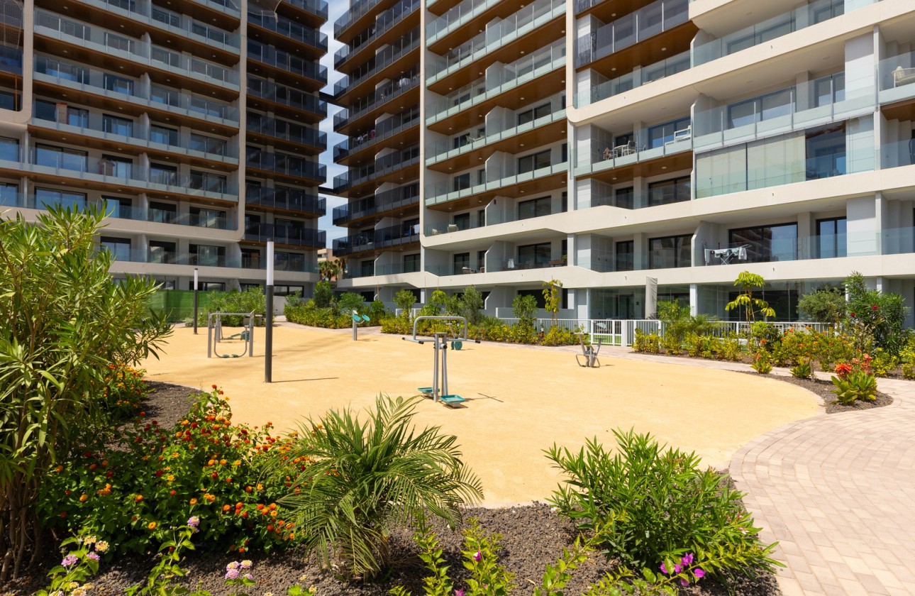 Reventa - Apartamento - Torrevieja - Punta prima