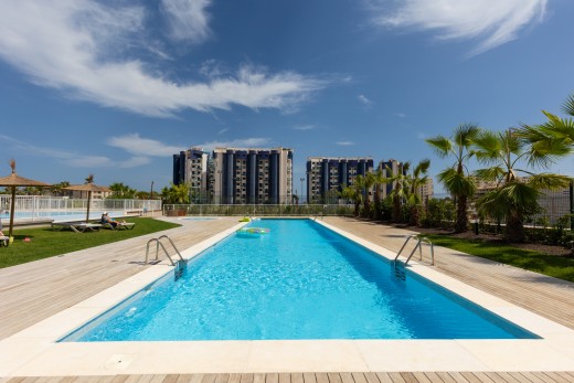 Reventa - Apartamento - Torrevieja - Punta prima