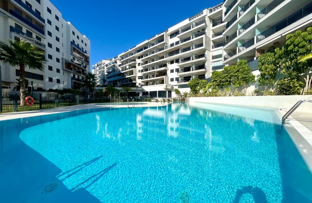 Reventa - Apartamento - Dehesa de campoamor - Campoamor