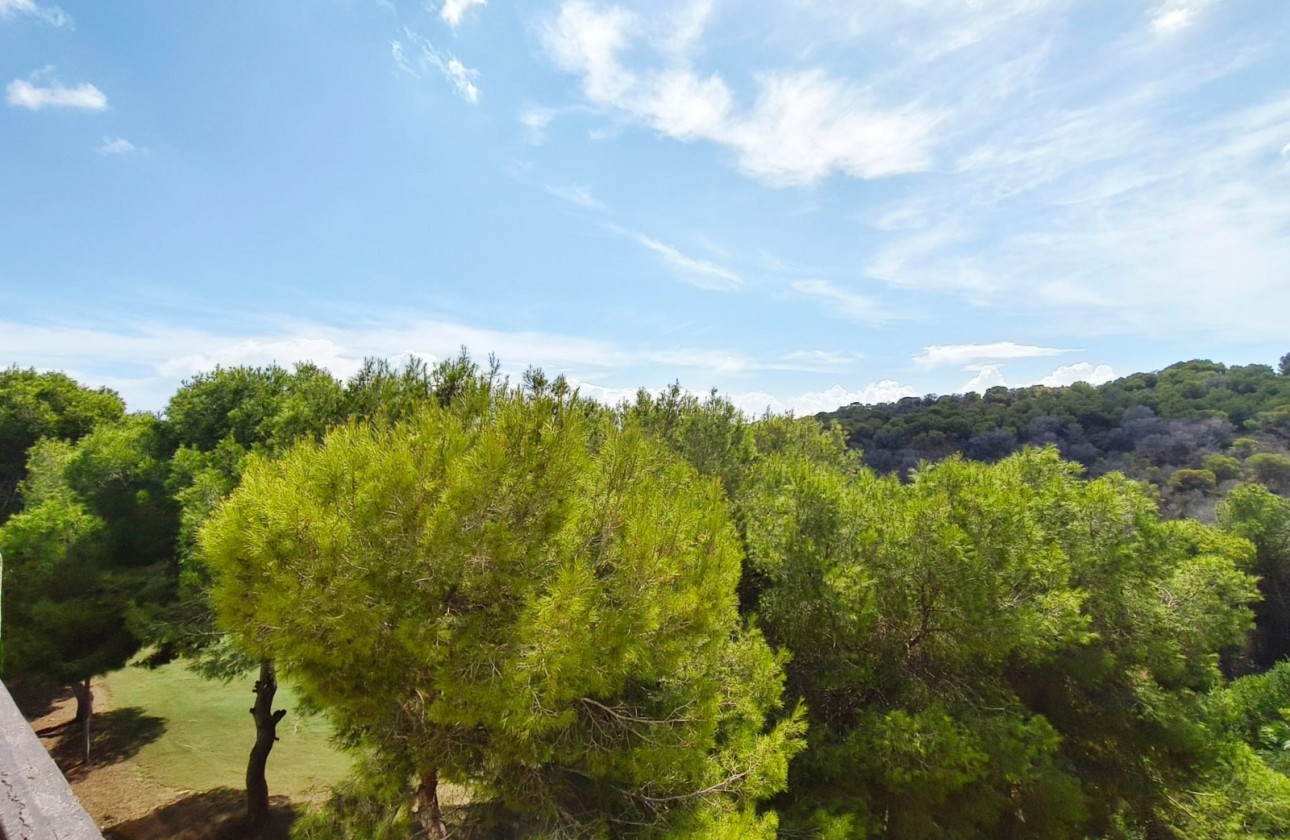 Resale - Apartment / Flat - Orihuela Costa - Las Ramblas Golf