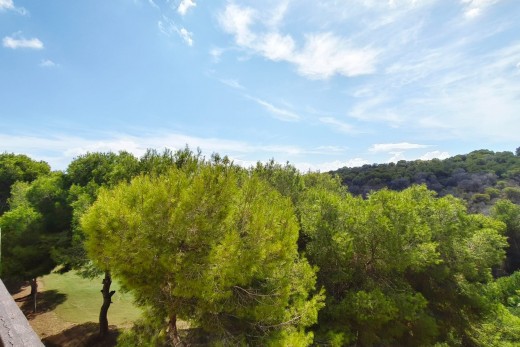 Resale - Apartment / Flat - Orihuela Costa - Las Ramblas Golf