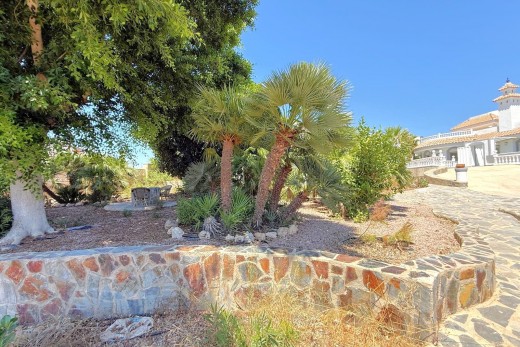 Reventa - Chalet - San Miguel De Salinas - Blue Lagoon