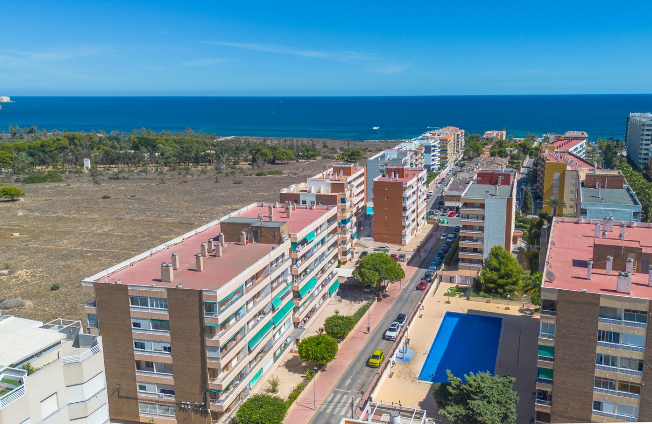 Återförsäljning -  - Torrevieja - Rocio del Mar