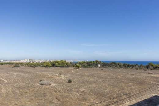 Återförsäljning -  - Torrevieja - Rocio del Mar