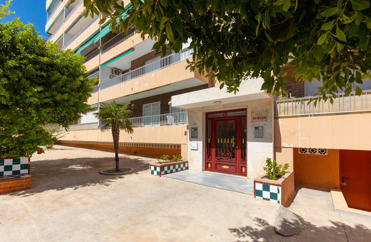 Återförsäljning -  - Torrevieja - Rocio del Mar