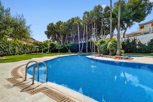 Reventa - Apartamento - Mil Palmeras