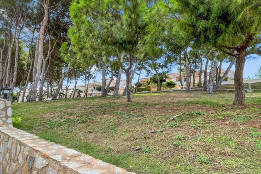 Reventa - Apartamento - Mil Palmeras