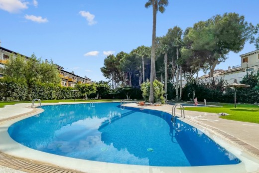 Reventa - Apartamento - Mil Palmeras