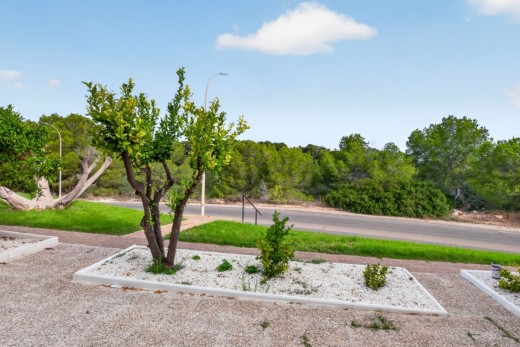 Resale - Apartment - Orihuela Costa - Villamartín
