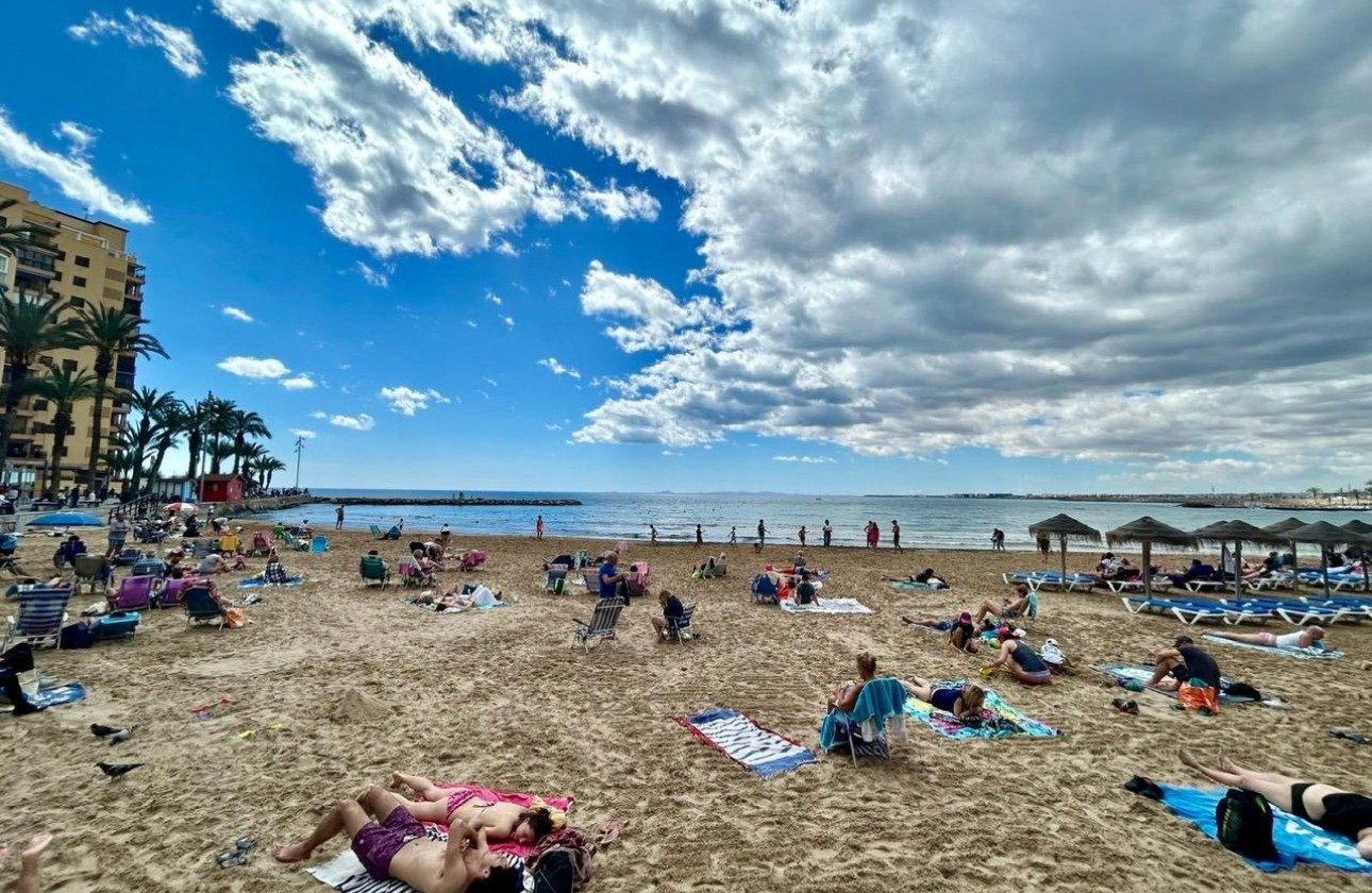 Återförsäljning -  - Torrevieja - Playa del cura