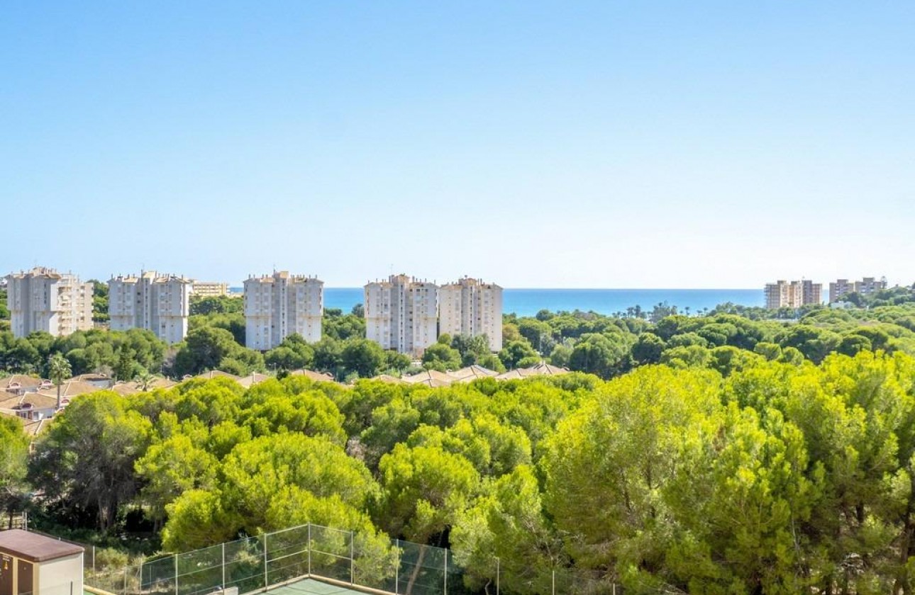 Reventa - Apartamento - Orihuela Costa - Campoamor