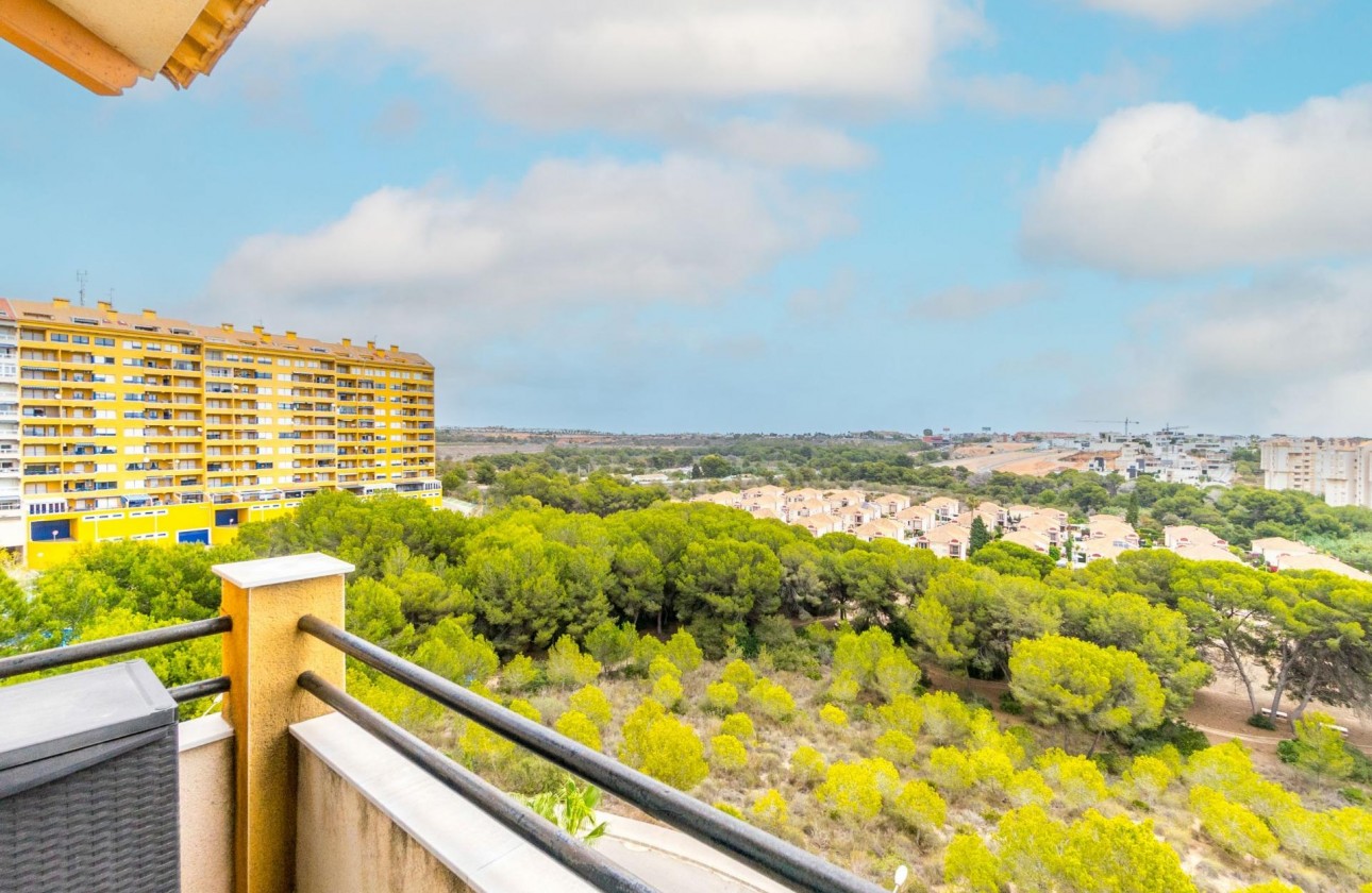 Reventa - Apartamento - Orihuela Costa - Campoamor