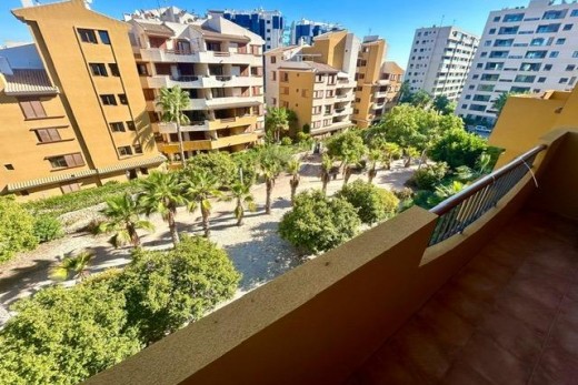 Reventa - Apartamento - Torrevieja - Punta prima