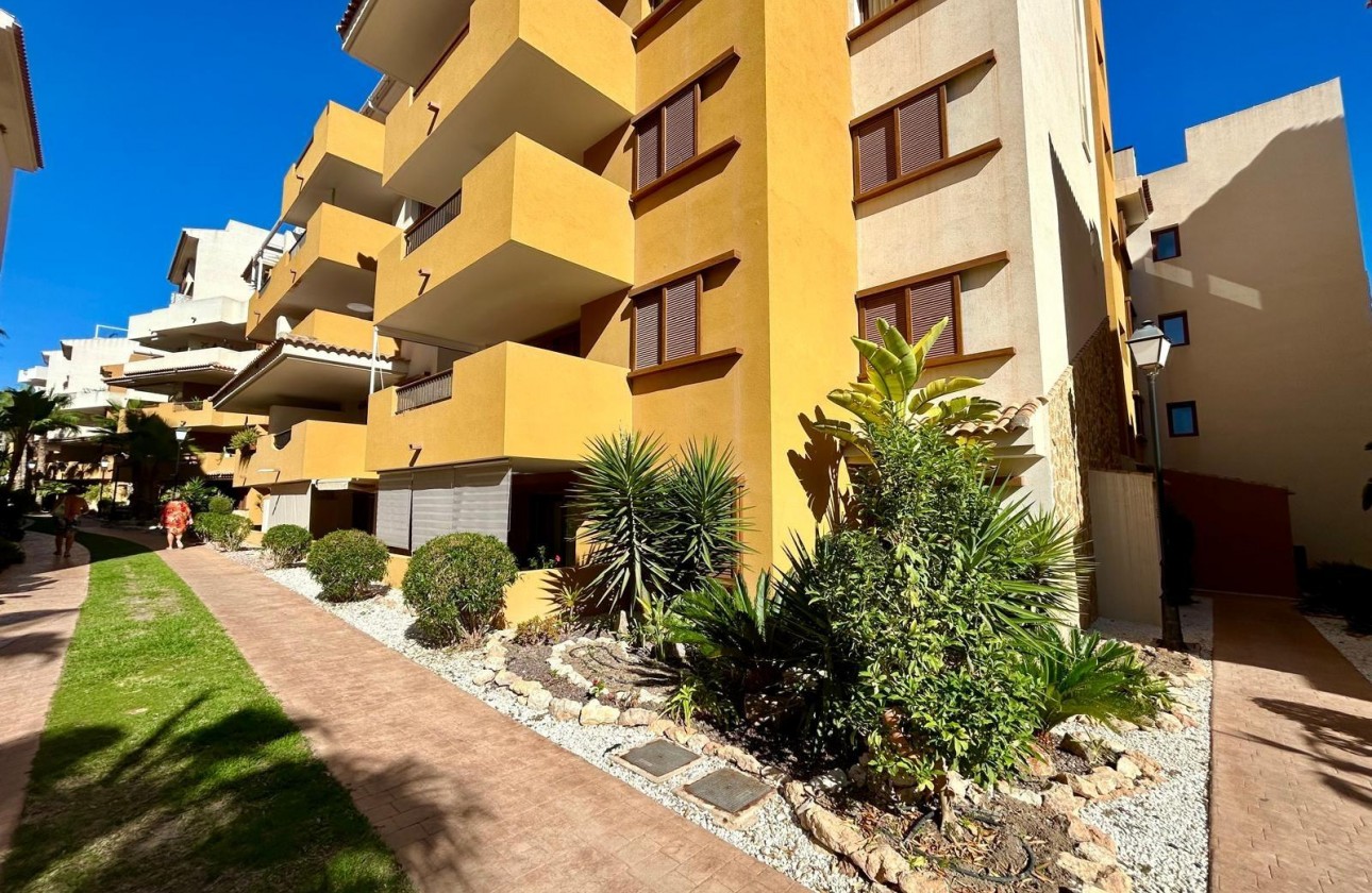 Reventa - Apartamento - Torrevieja - Punta prima