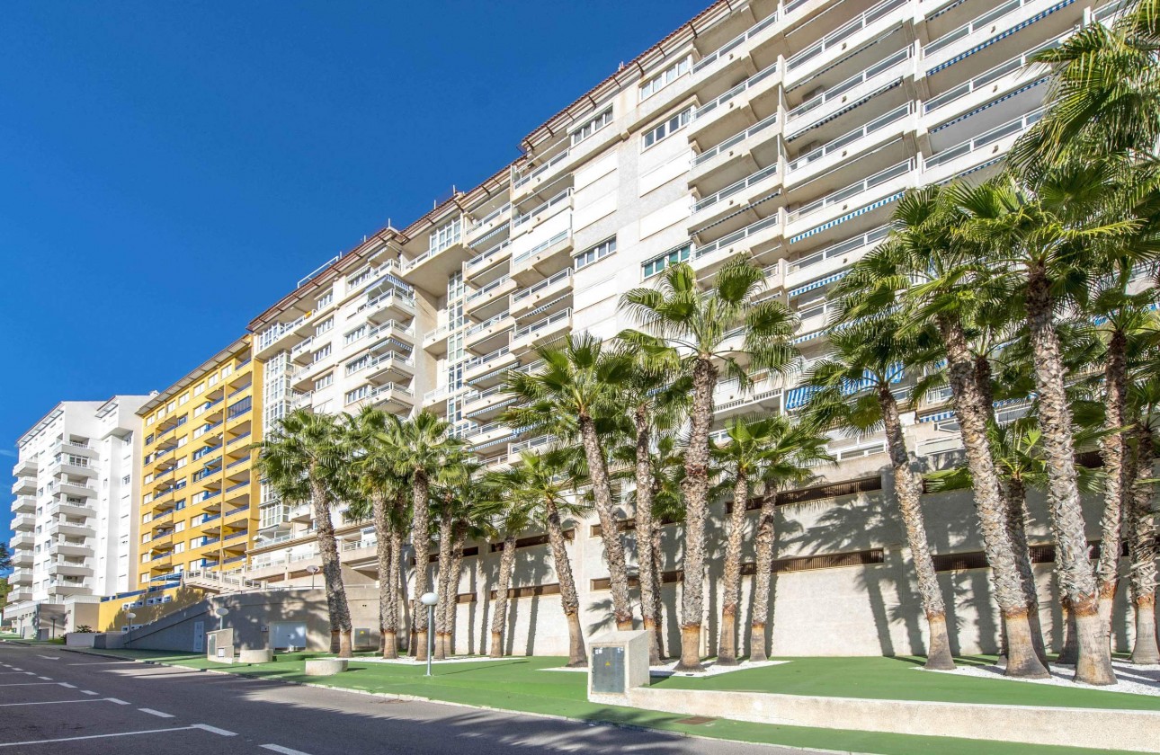 Reventa - Apartamento - Orihuela Costa - Campoamor