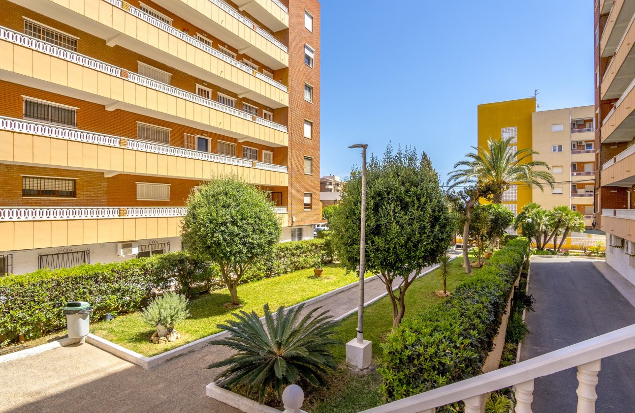 Reventa - Apartamento - Punta Prima