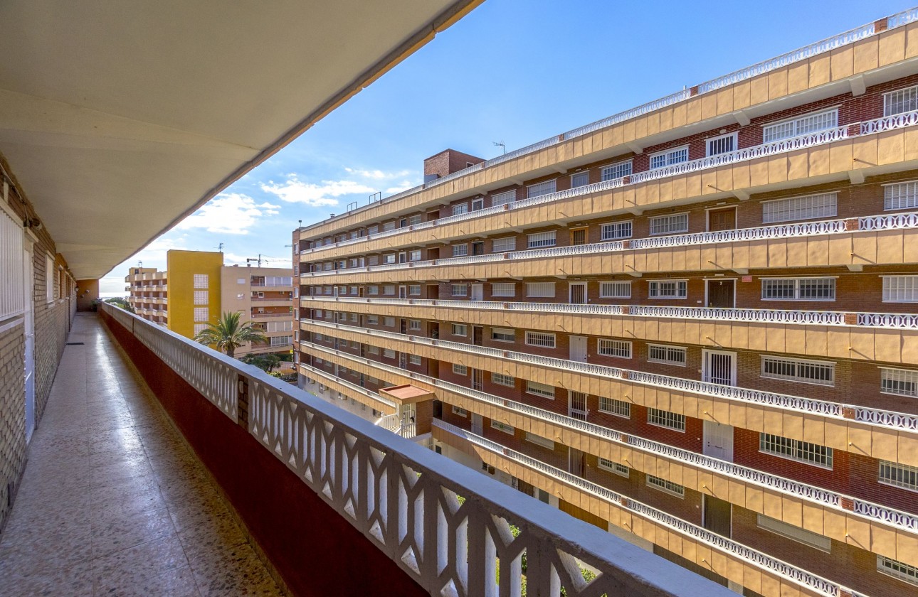 Reventa - Apartamento - Punta Prima